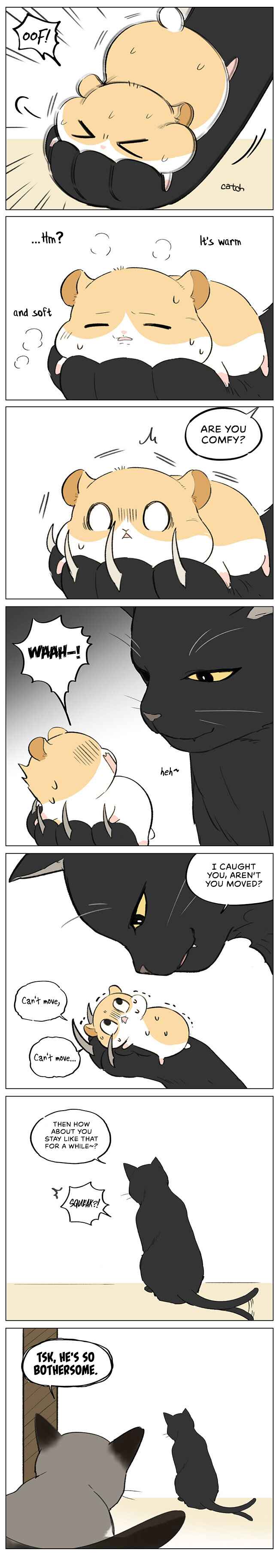 Chapter 5 - Page 3