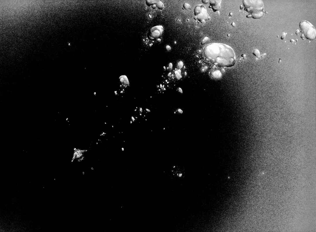 Chapter 145 - Page 5