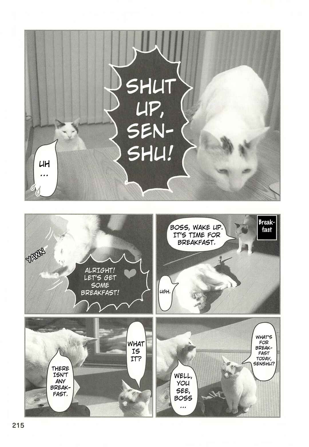 Chapter 52 - Page 12