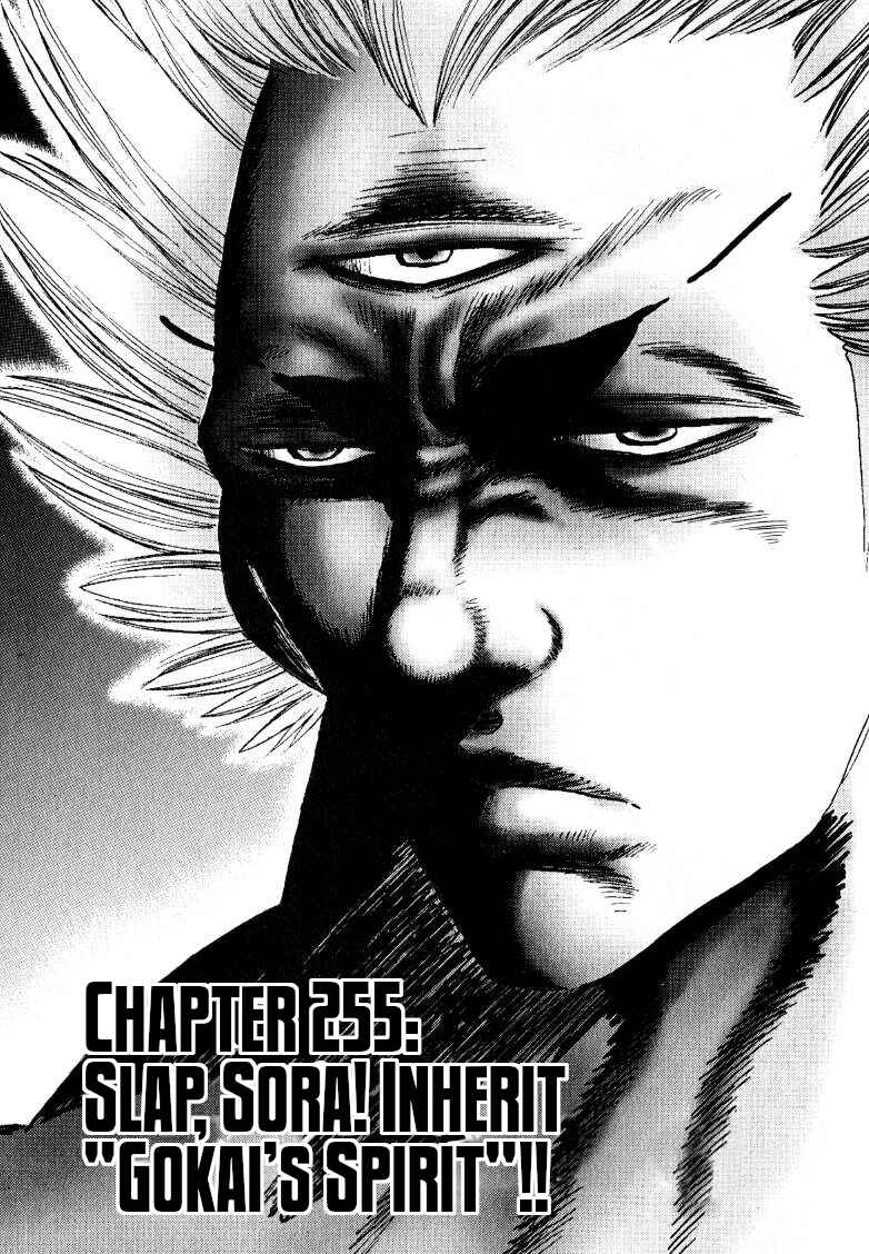Chapter 255 - Page 1