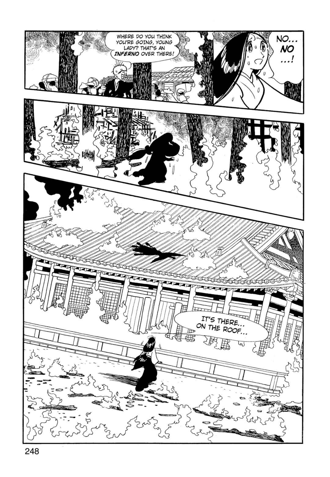 Chapter 9.1 - Page 248