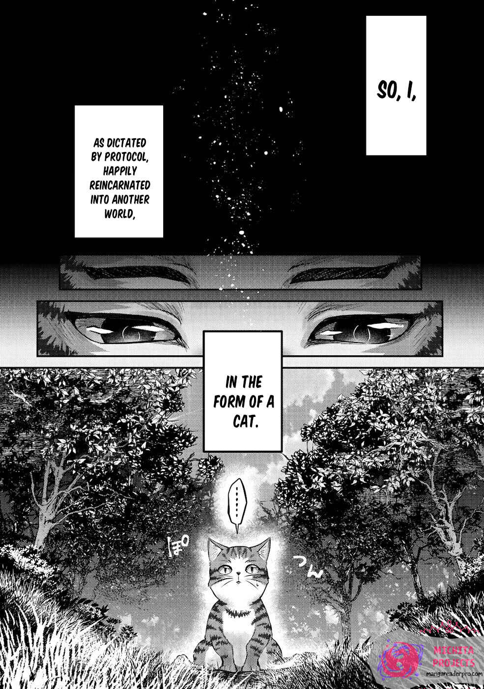 Chapter 1 - Page 16