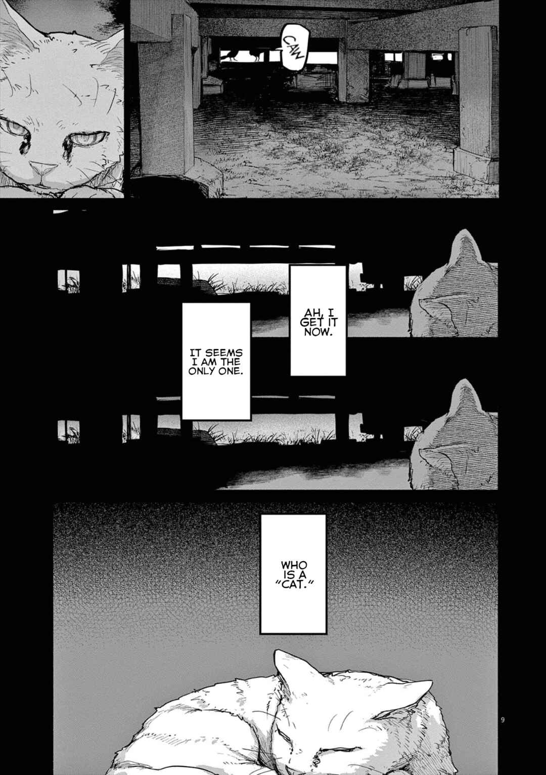 Chapter 49 - Page 9