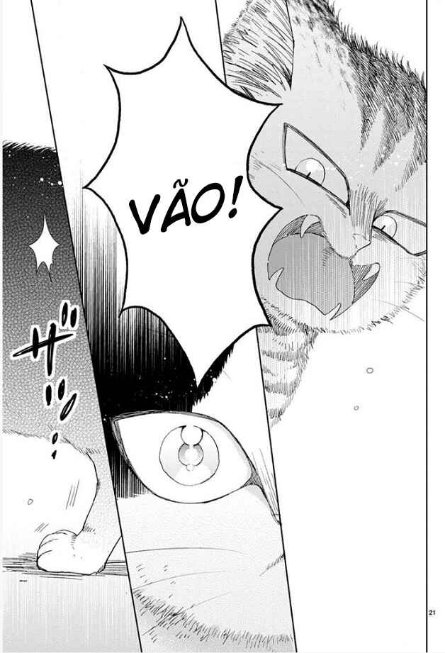 Chapter 16.2 - Page 21