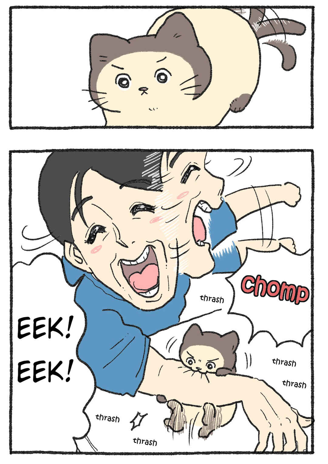 Chapter 565 - Page 2