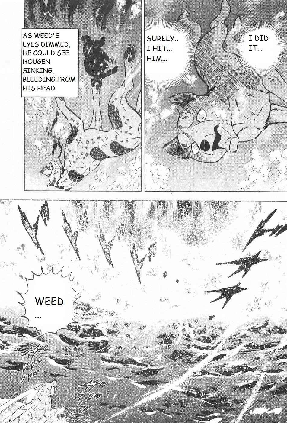 Chapter 242 - Page 19