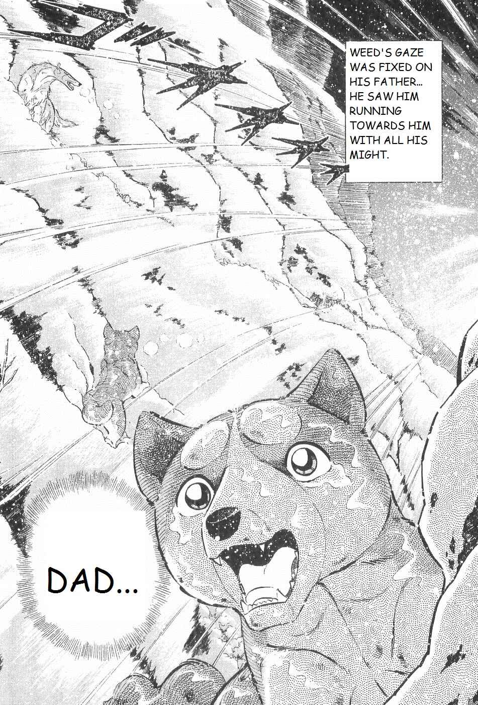 Chapter 242 - Page 2