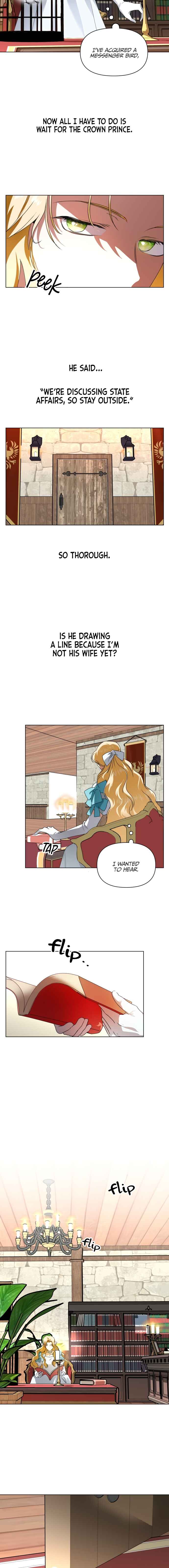 Chapter 3 - Page 17