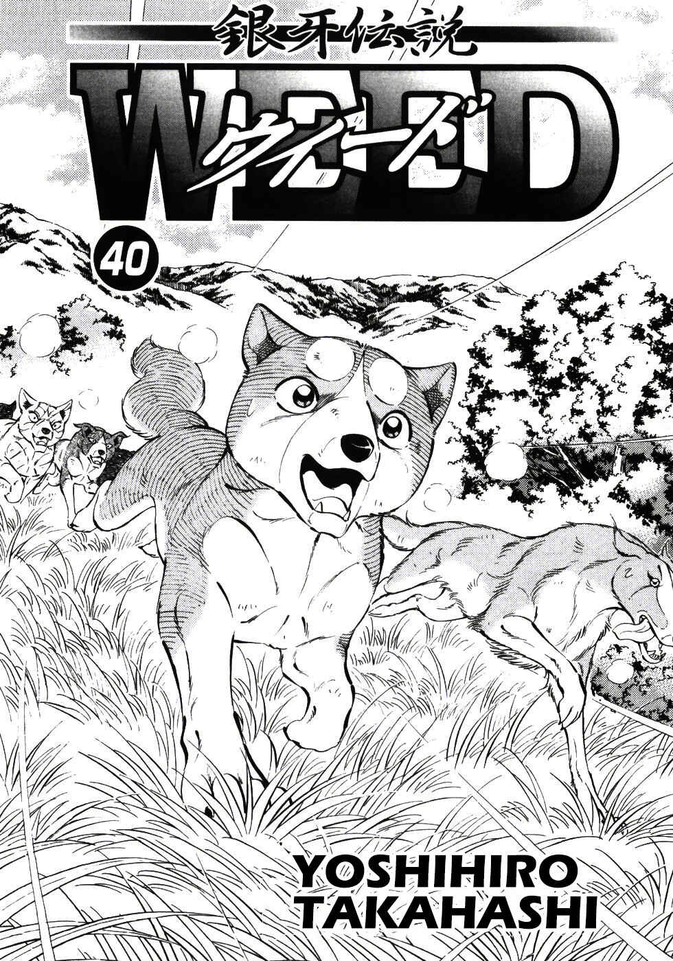 Chapter 332 - Page 4