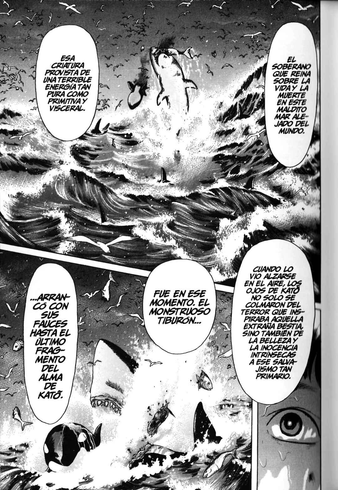 Chapter 72 - Page 17