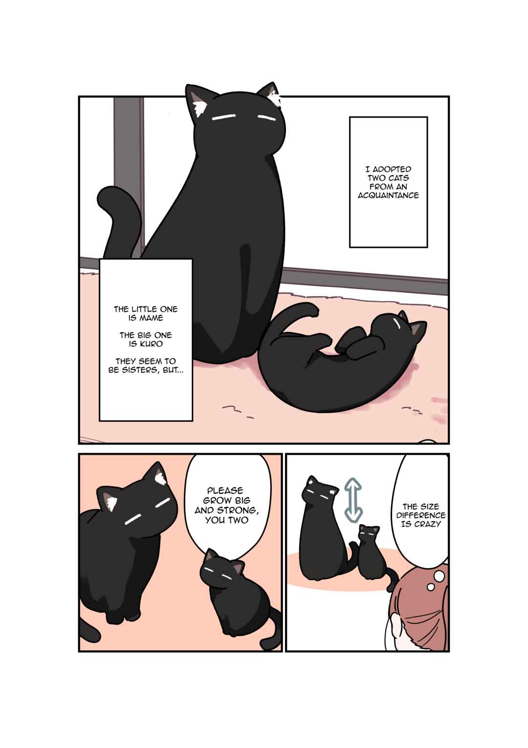 Chapter 1 - Page 1