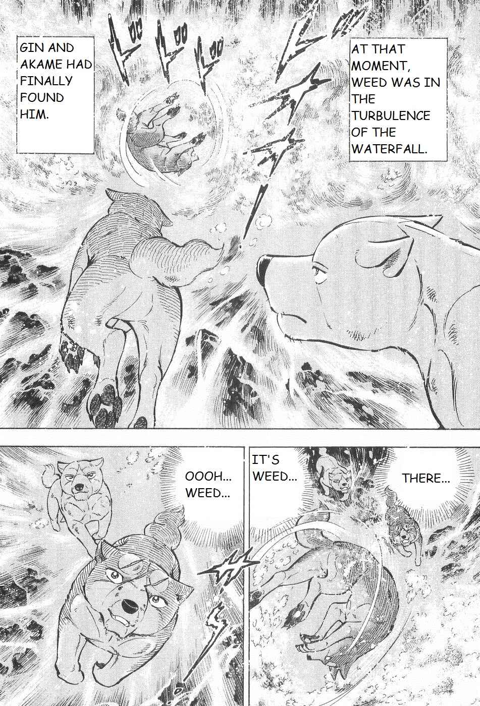 Chapter 243 - Page 12