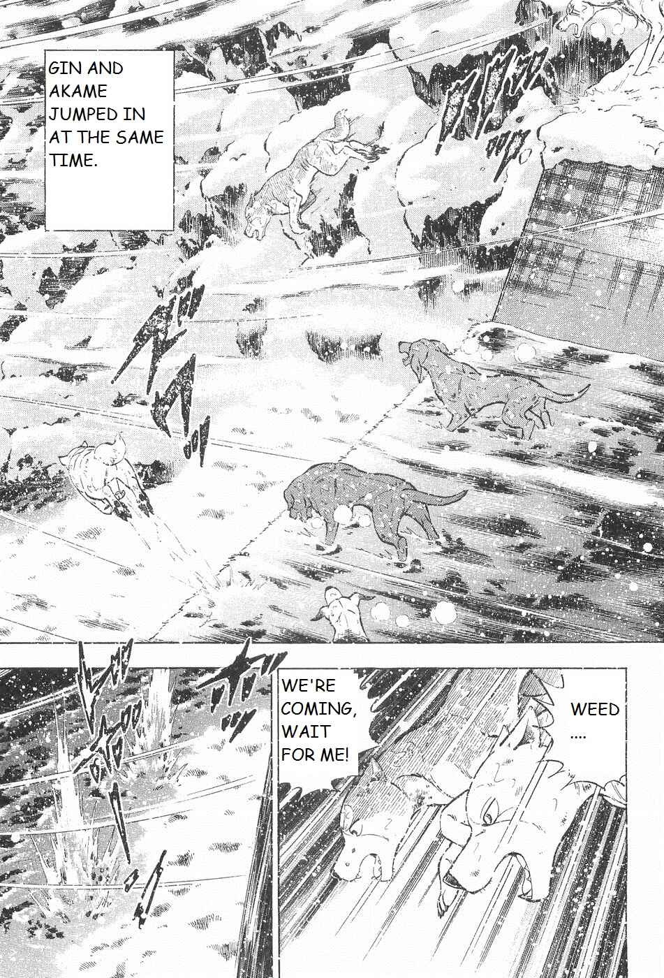 Chapter 243 - Page 5