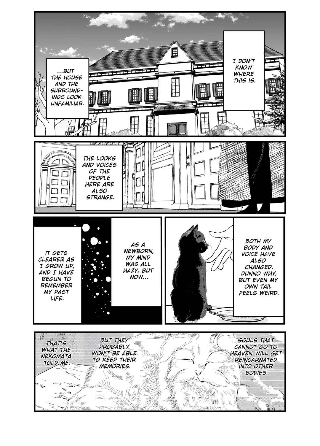 Chapter 1 - Page 14