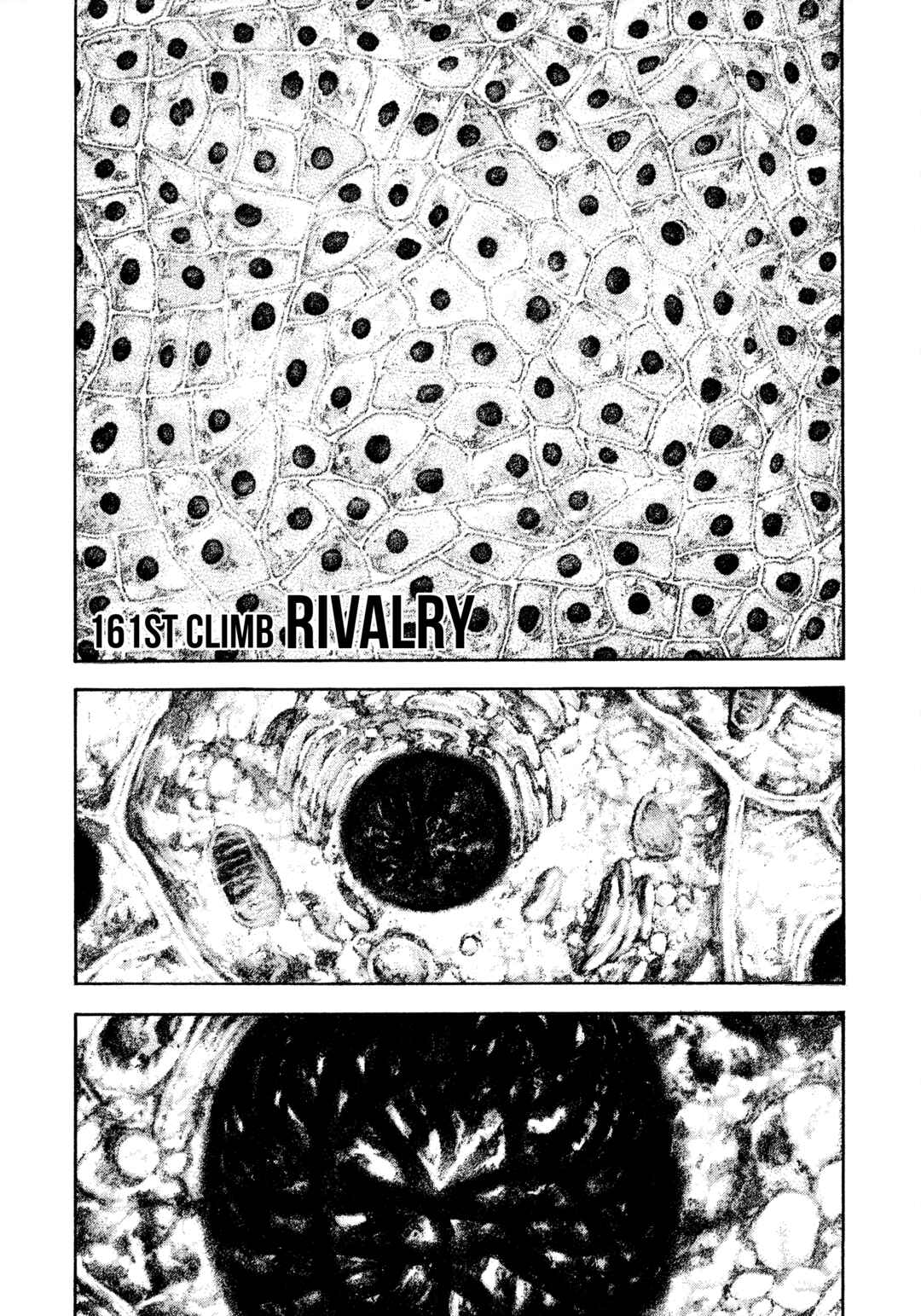 Chapter 161 - Page 1