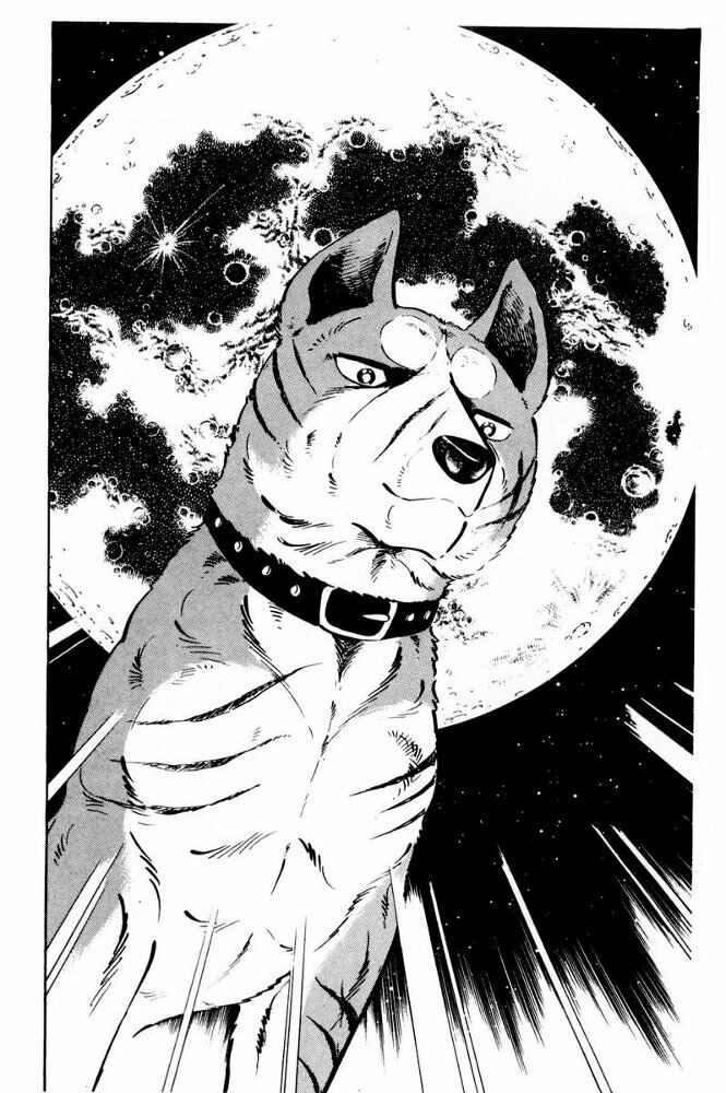 Chapter 36 - Page 14