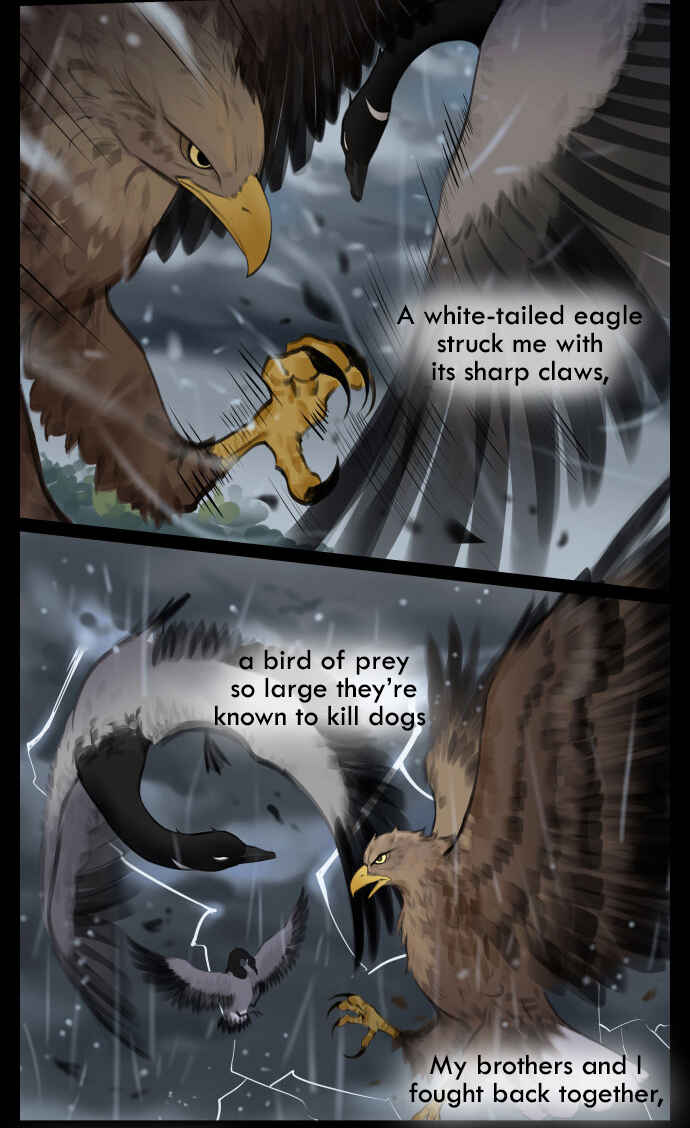 Chapter 42 - Page 6