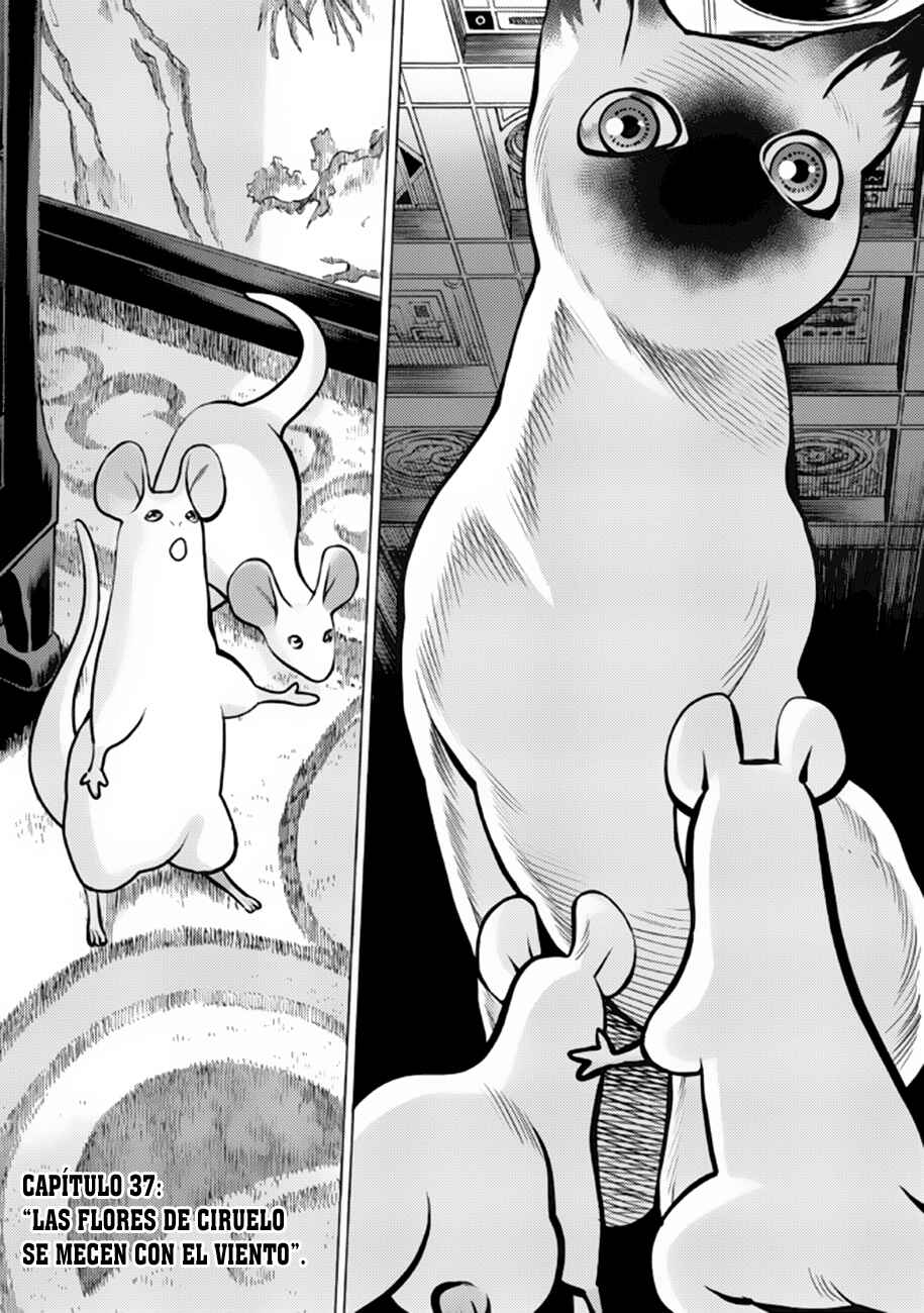 Chapter 37 - Page 3