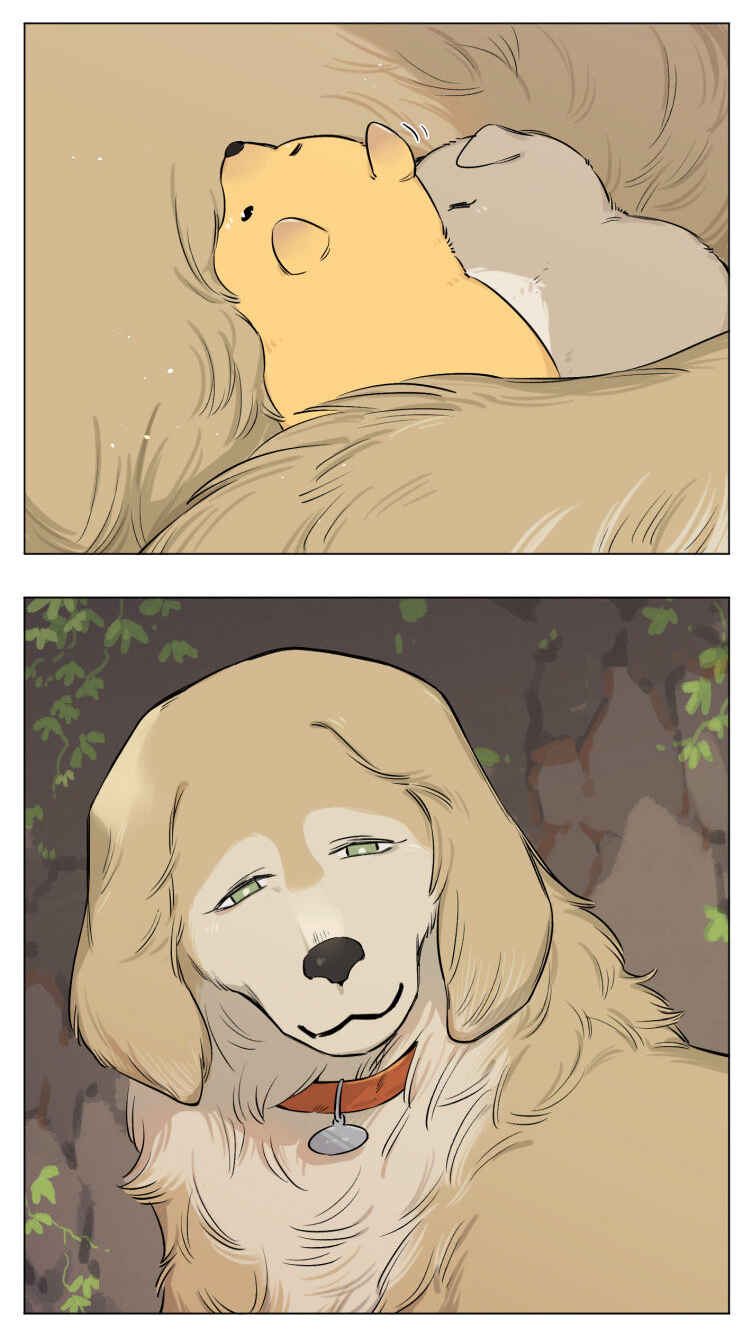 Chapter 13 - Page 6