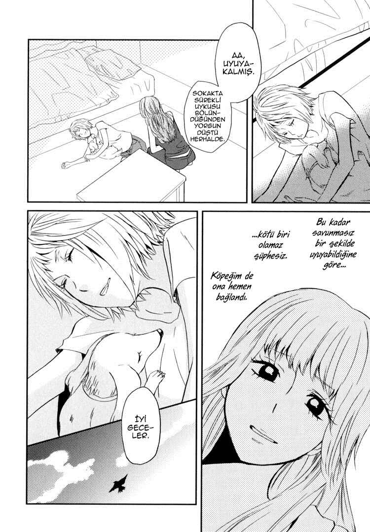 Chapter 1 - Page 13