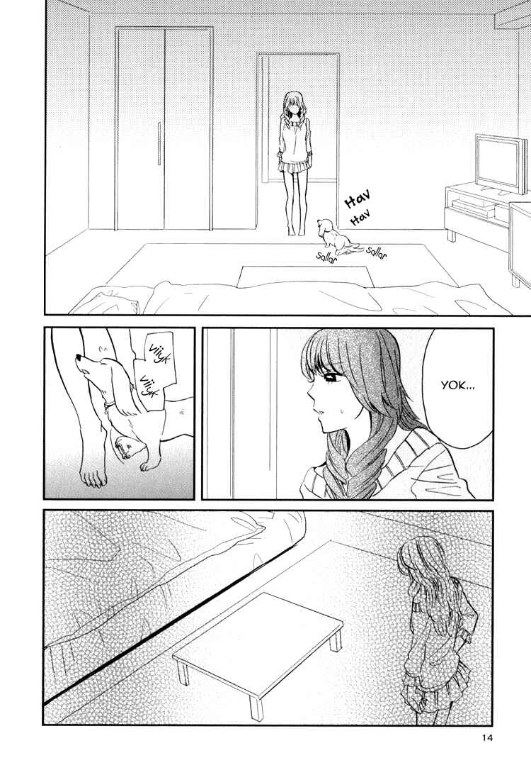 Chapter 1 - Page 17