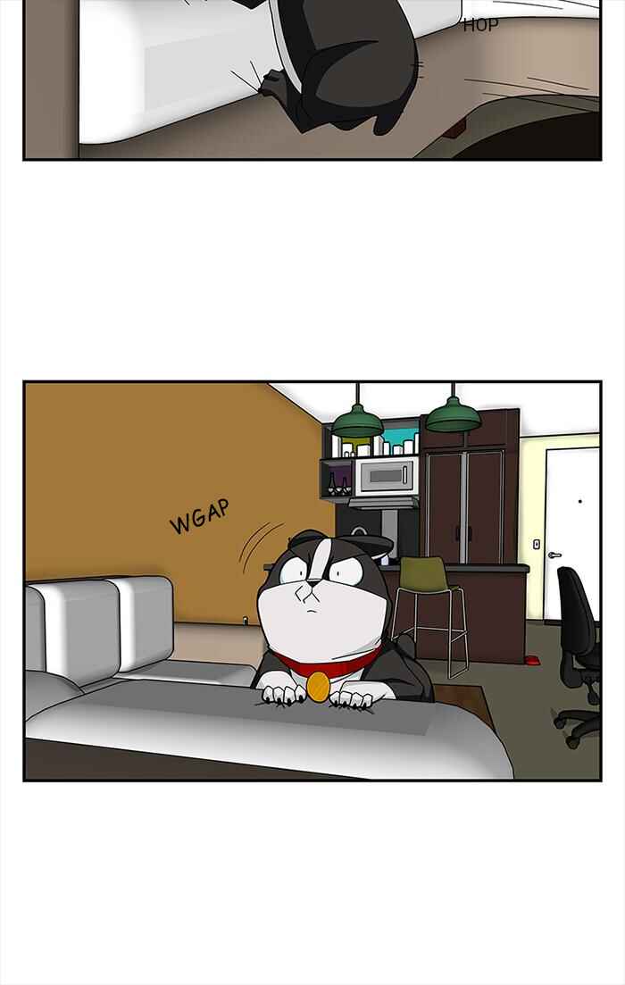 Chapter 37 - Page 16
