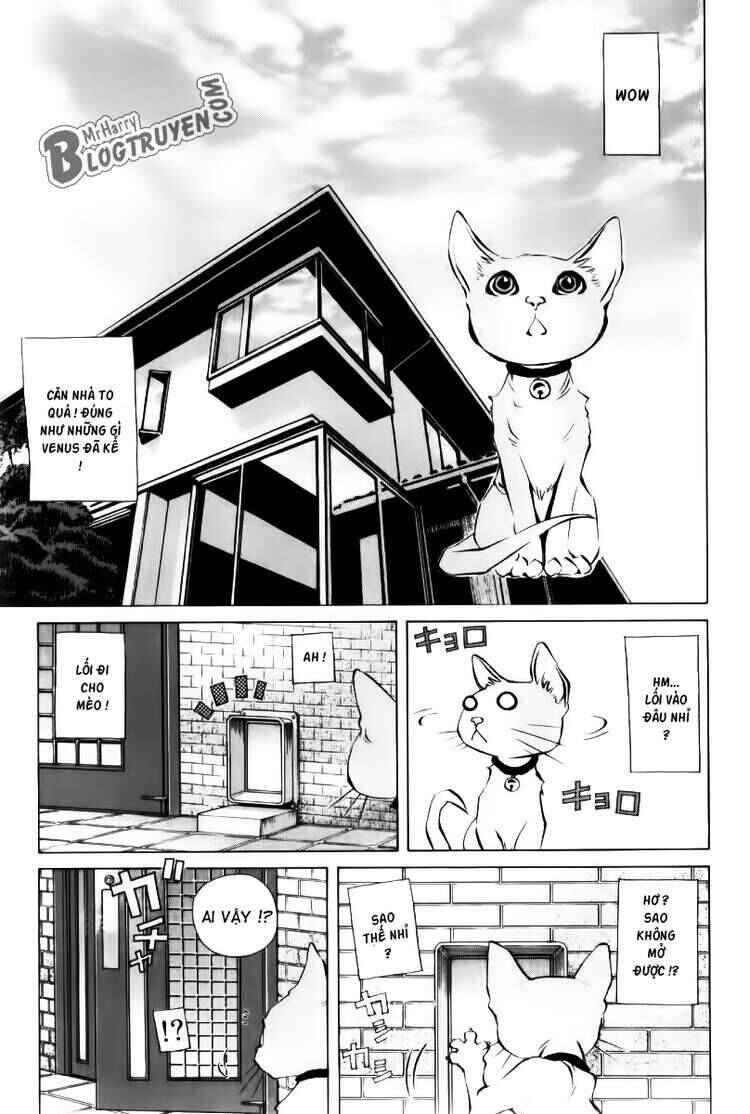Chapter 125 - Page 25