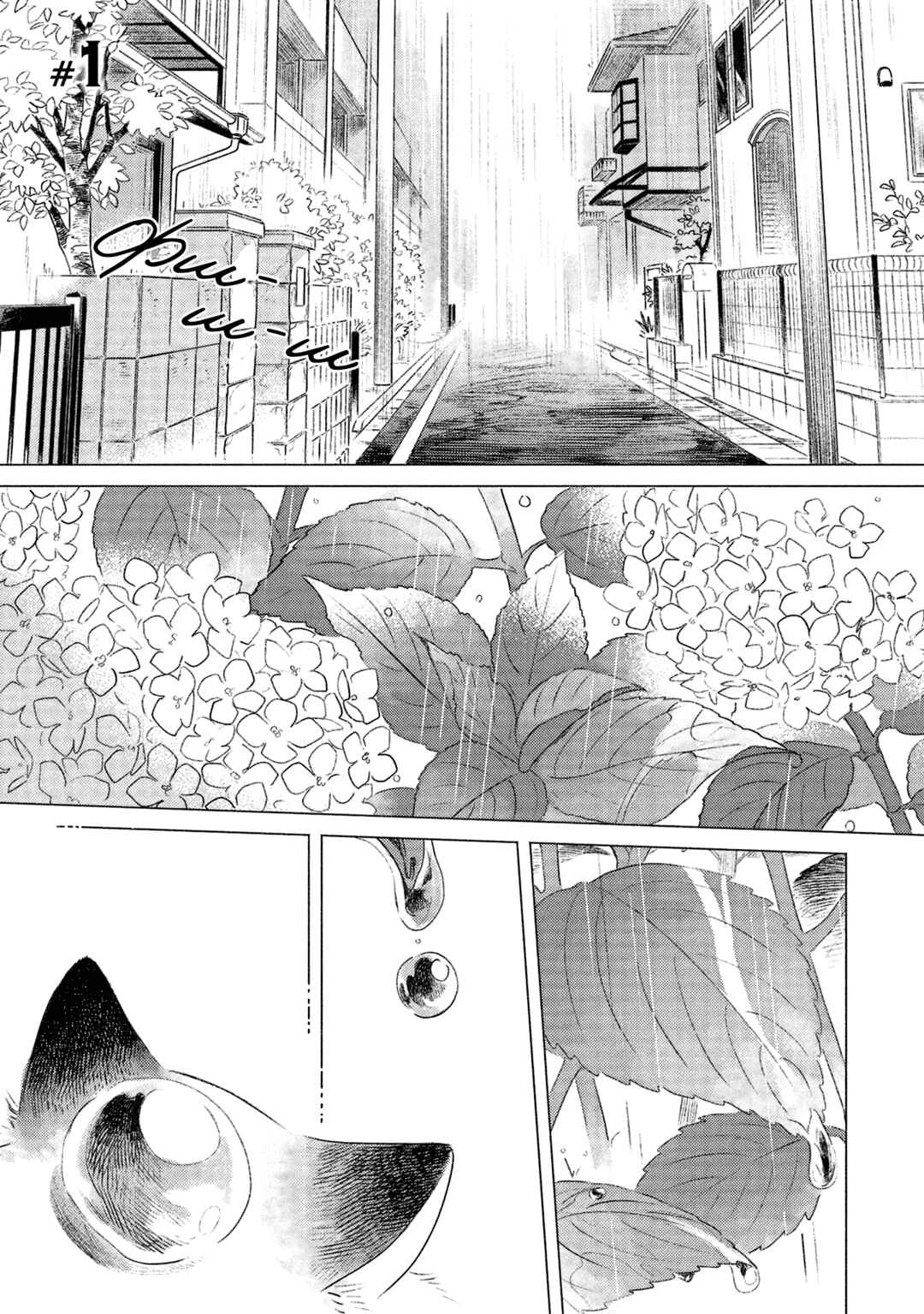 Chapter 1 - Page 4