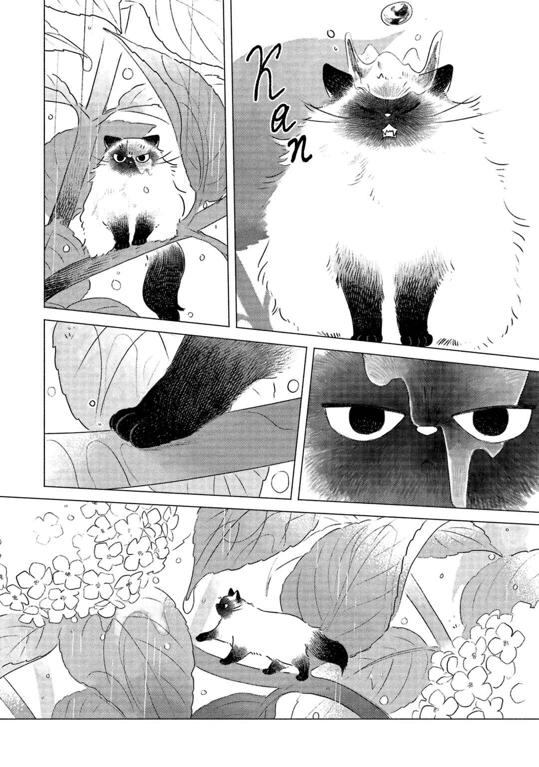Chapter 1 - Page 5