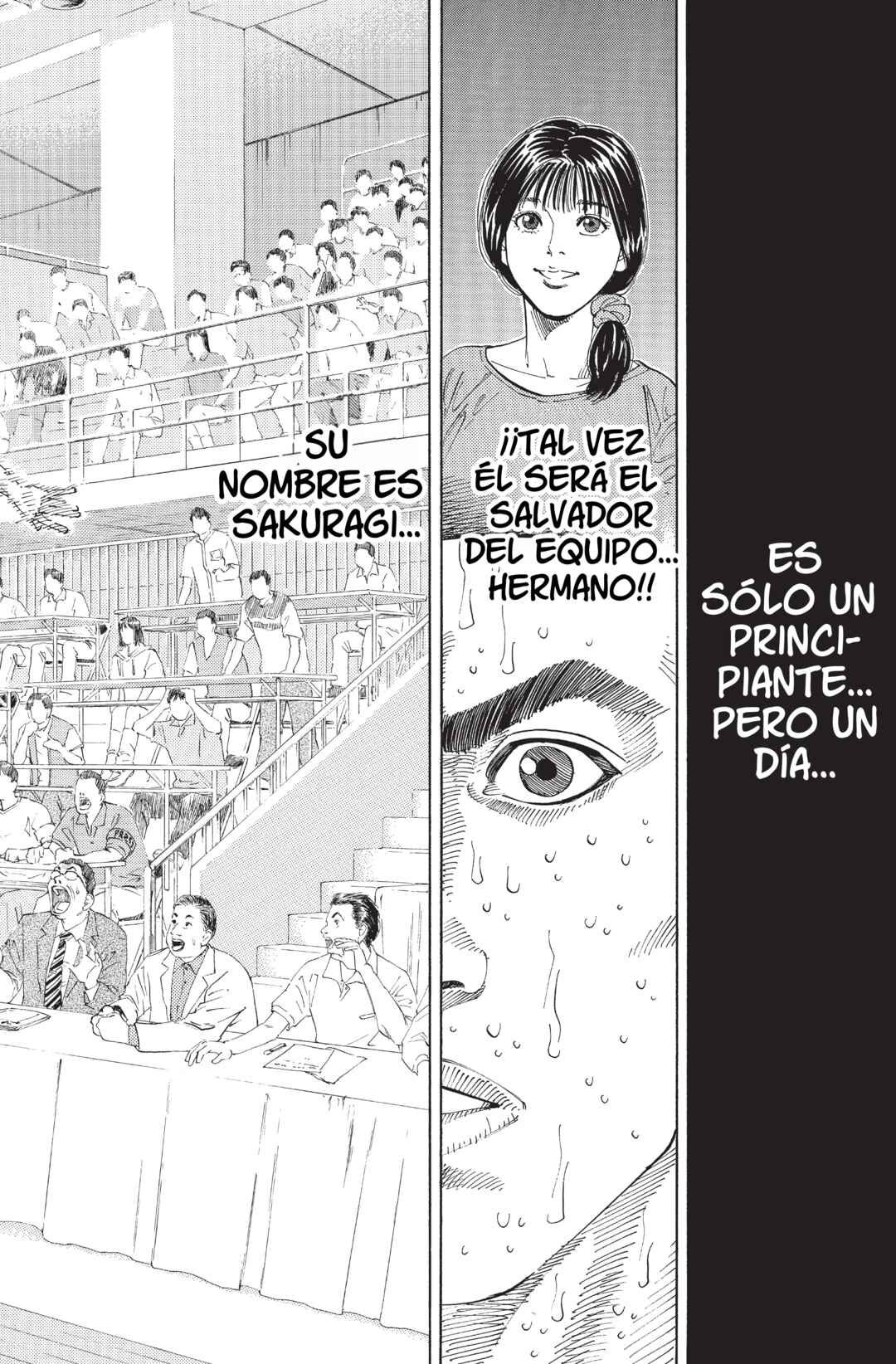 Chapter 264 - Page 13