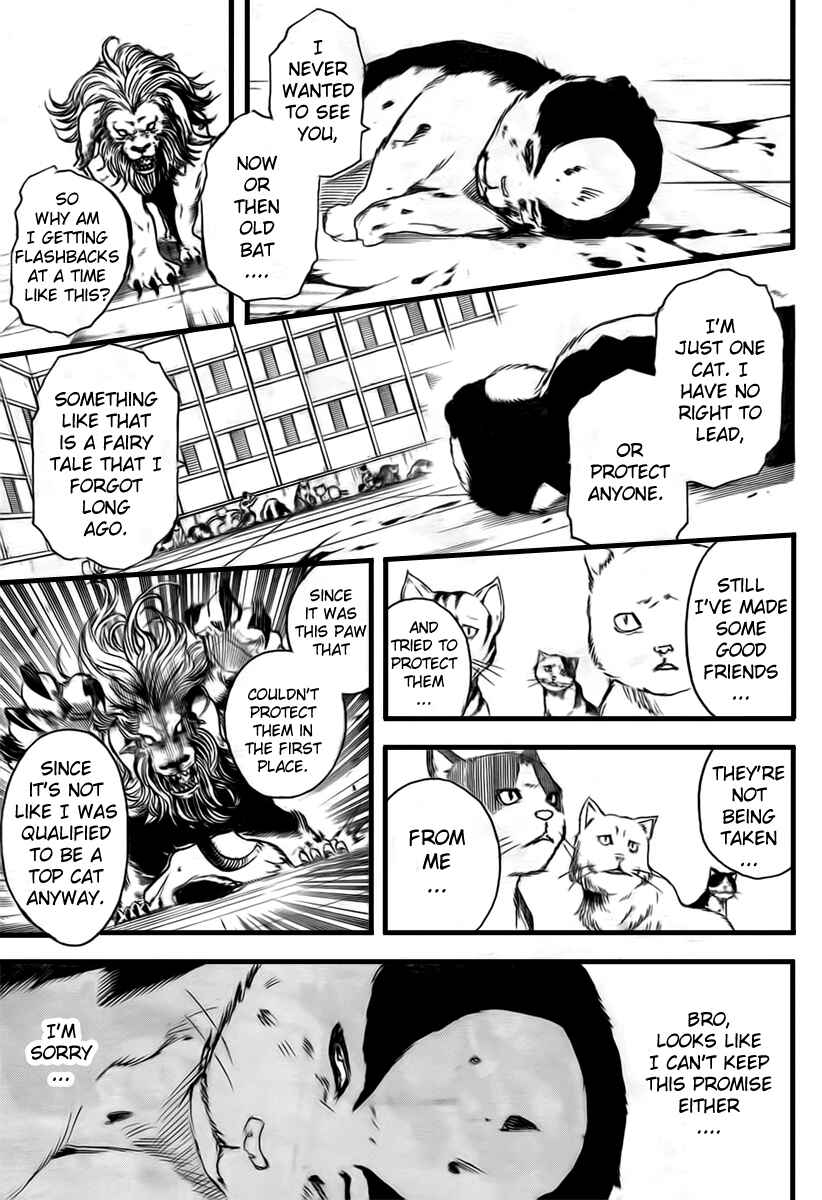 Chapter 279 - Page 9