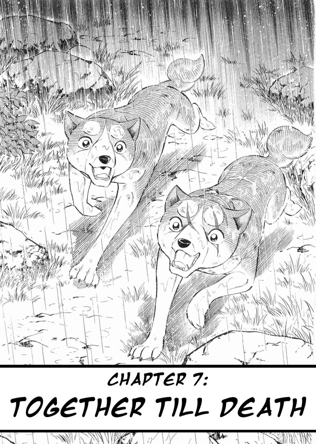 Chapter 482 - Page 1