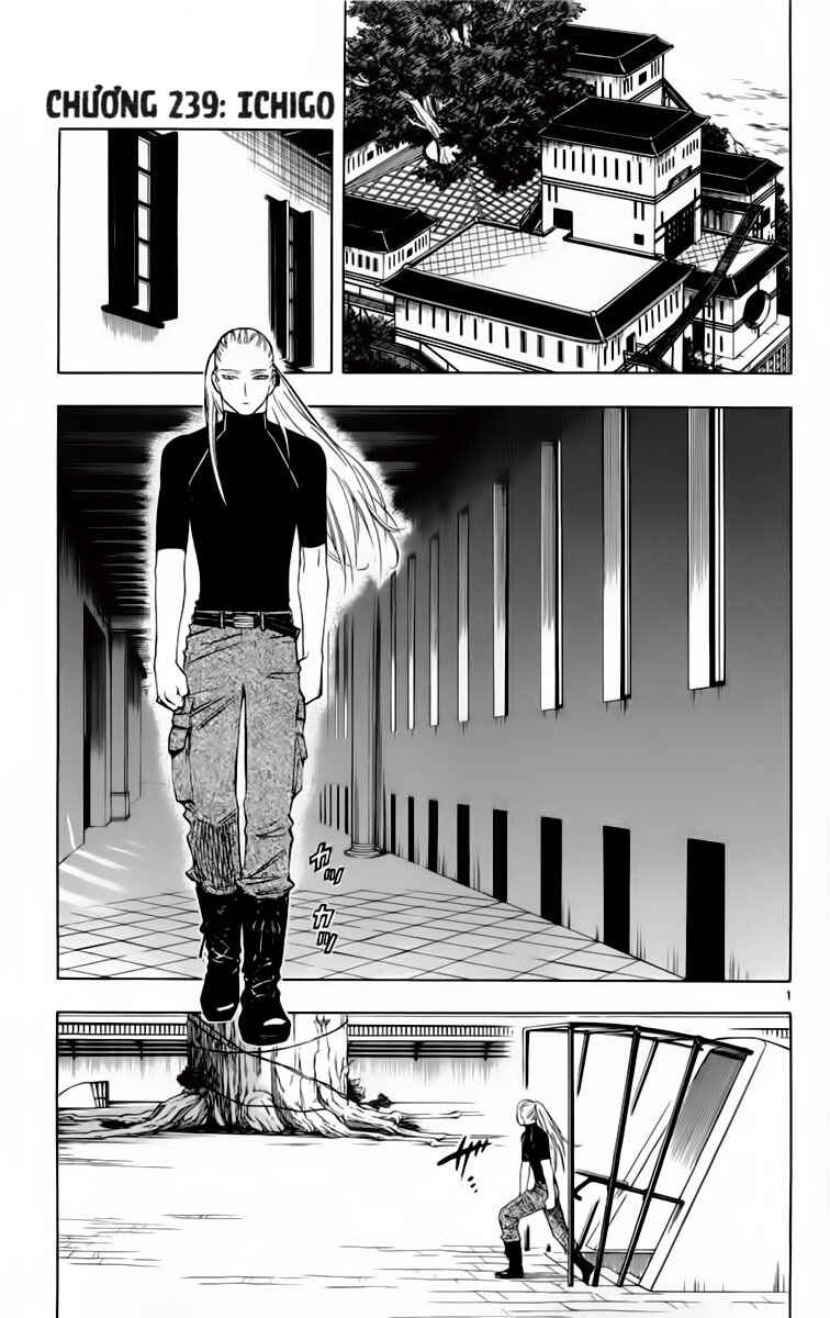Chapter 239 - Page 1