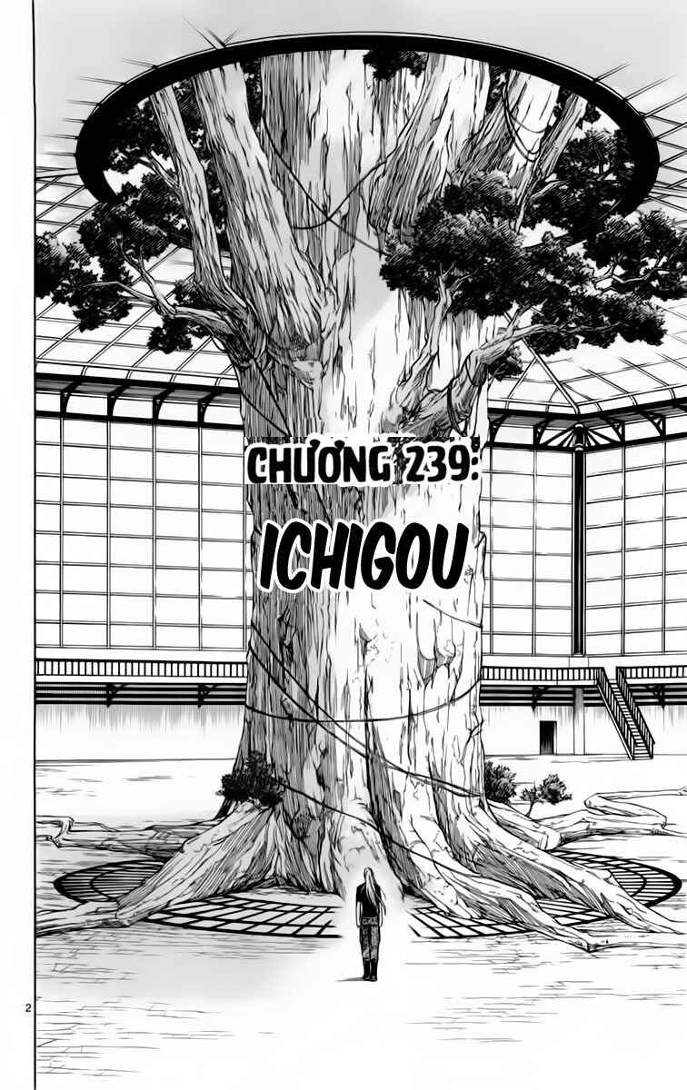 Chapter 239 - Page 2