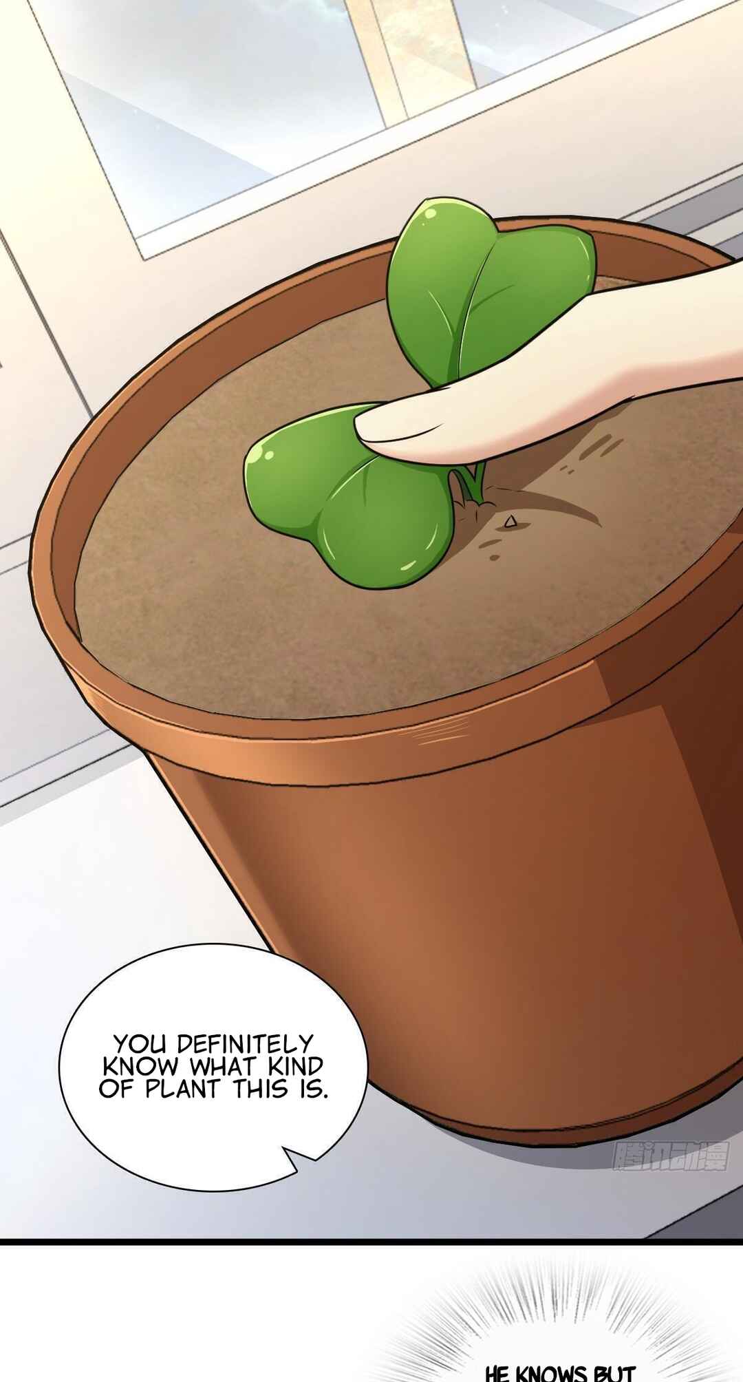 Chapter 284 - Page 2