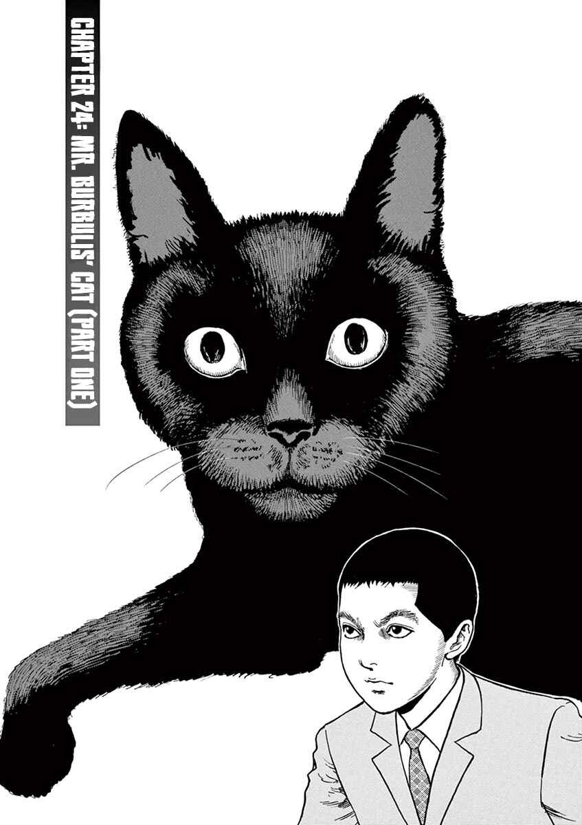 Chapter 24 - Page 1