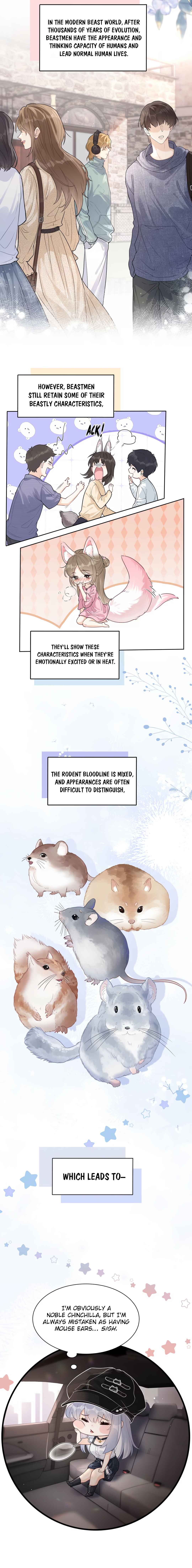 Chapter 1 - Page 4