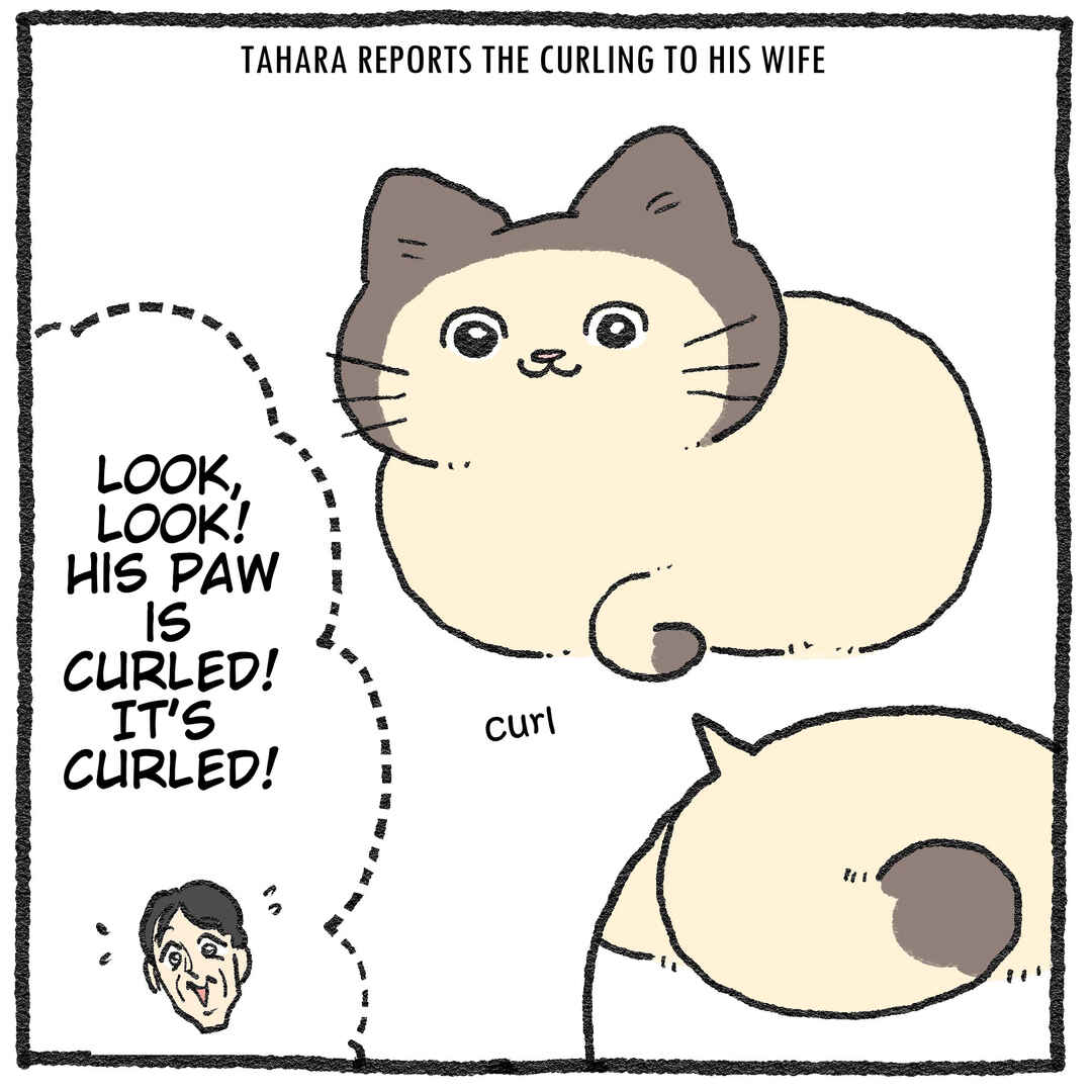 Chapter 578.6 - Page 4