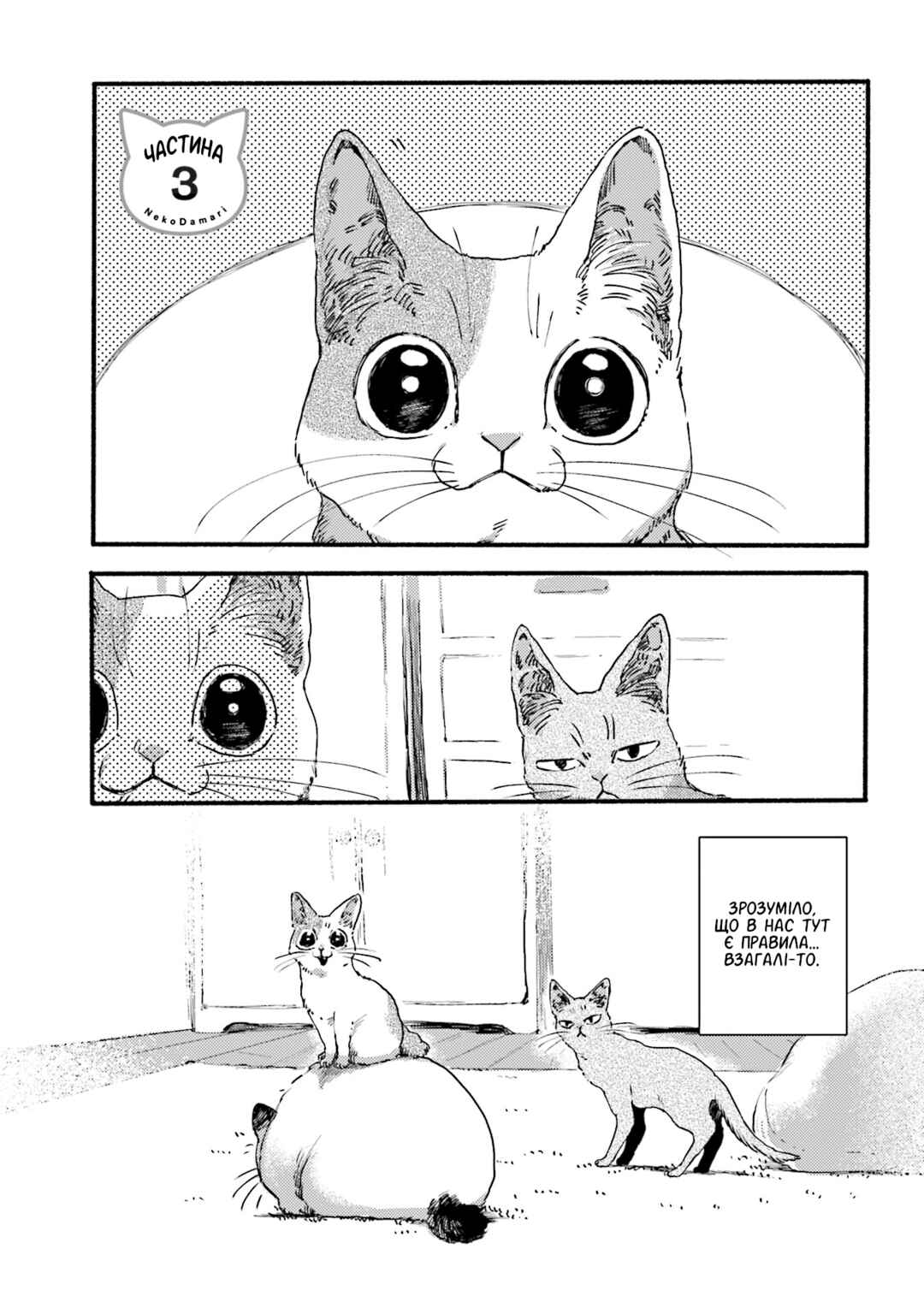 Chapter 3 - Page 1