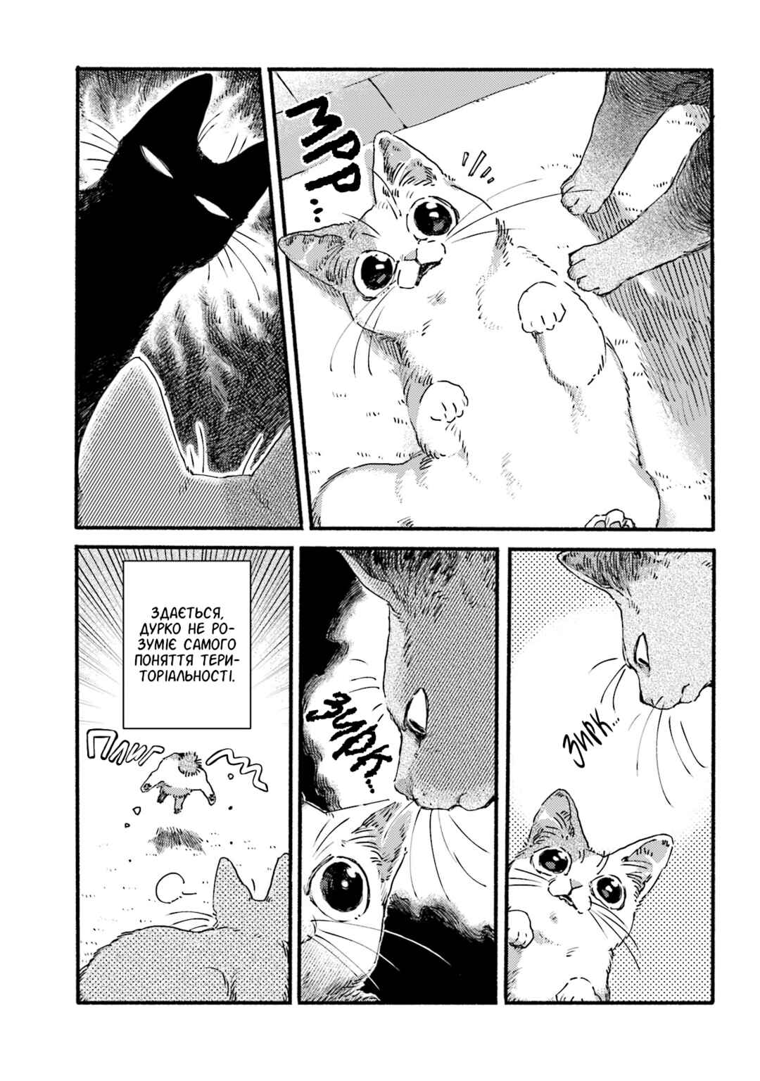 Chapter 3 - Page 3