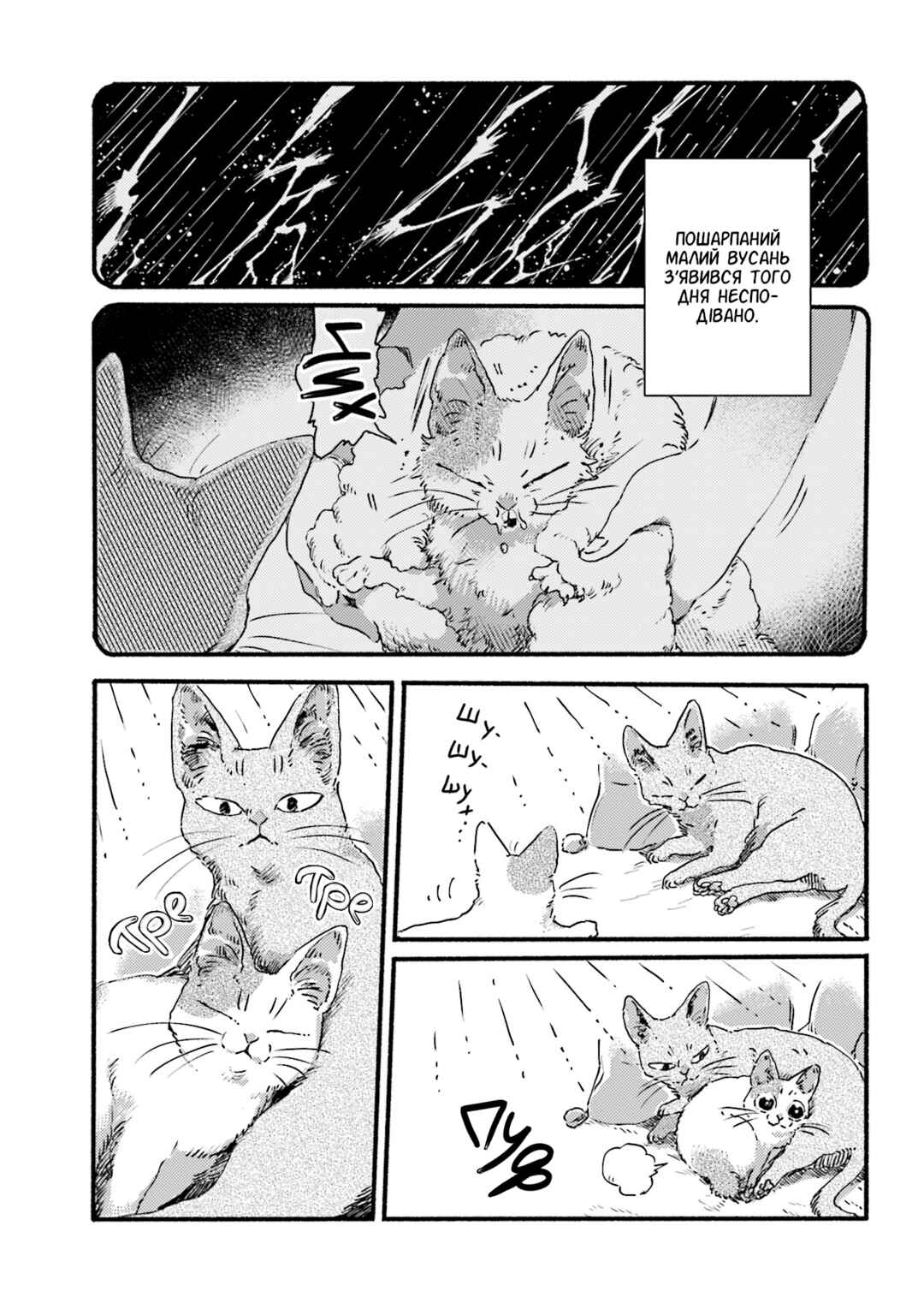 Chapter 3 - Page 5