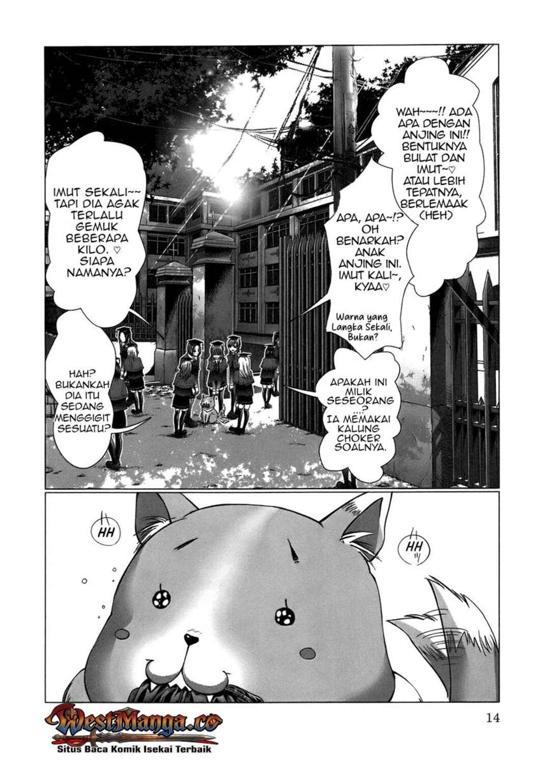 Chapter 1 - Page 15