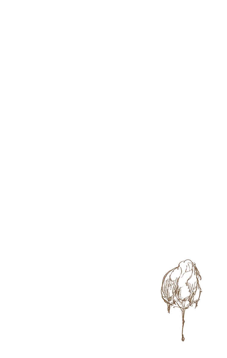 Chapter 557 - Page 17
