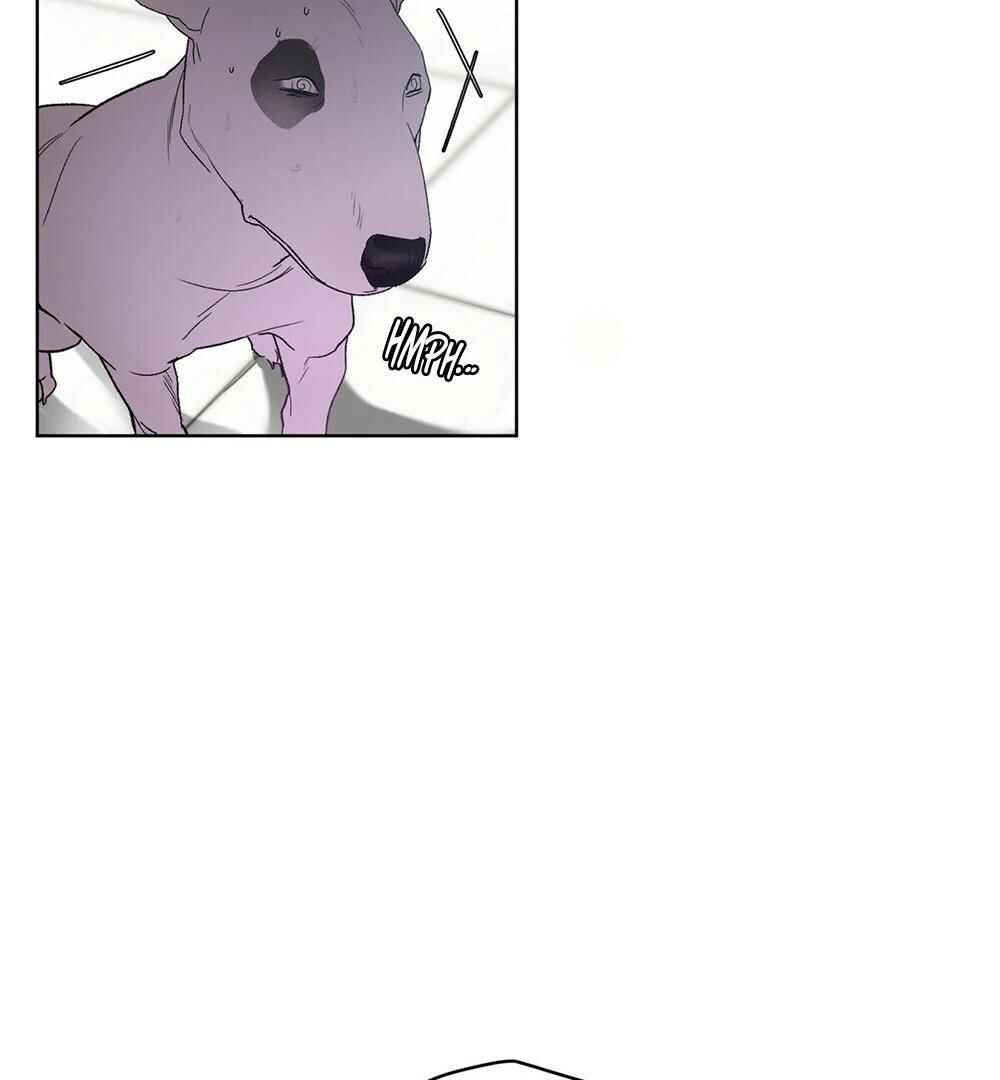 Chapter 2 - Page 17