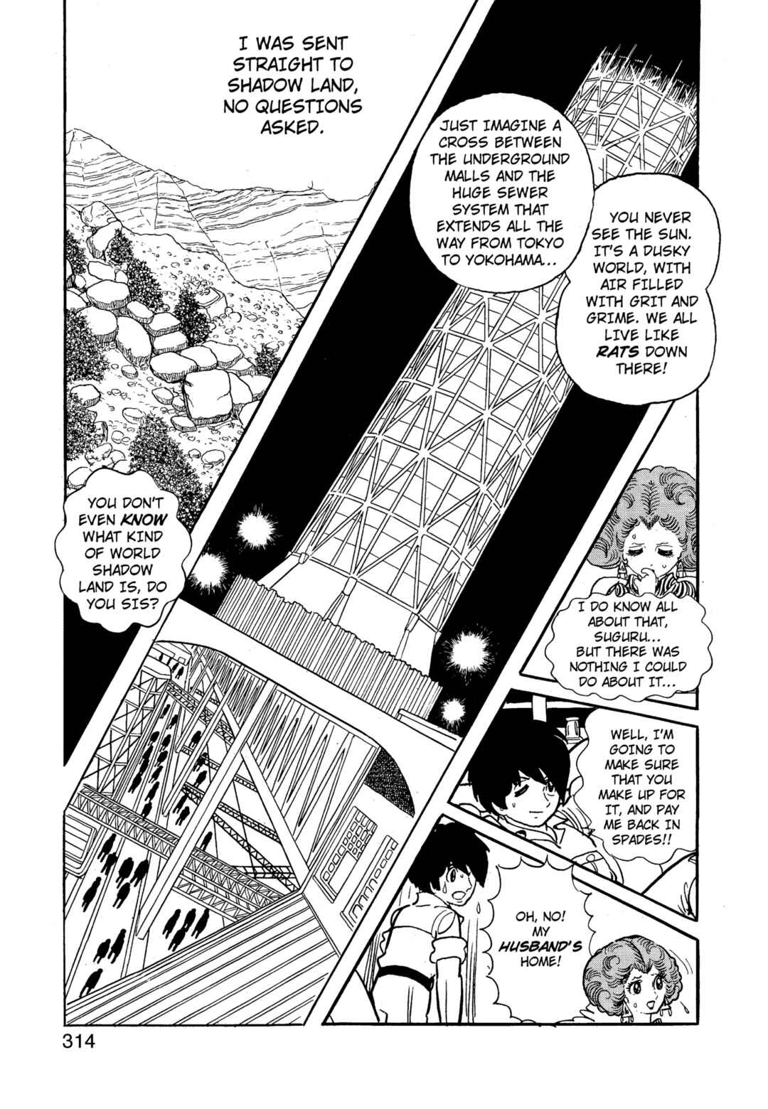 Chapter 12.1 - Page 315