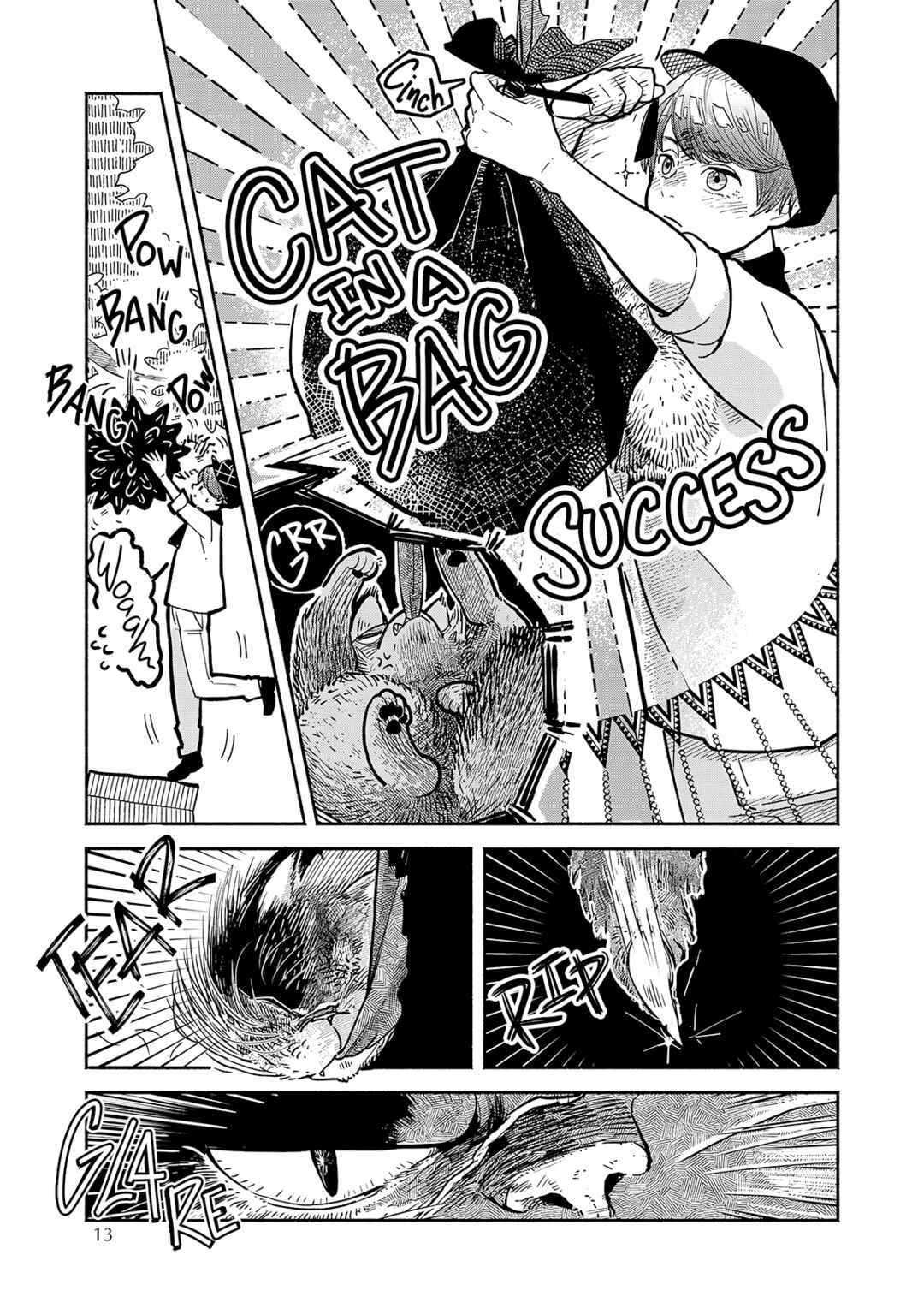 Chapter 1 - Page 13