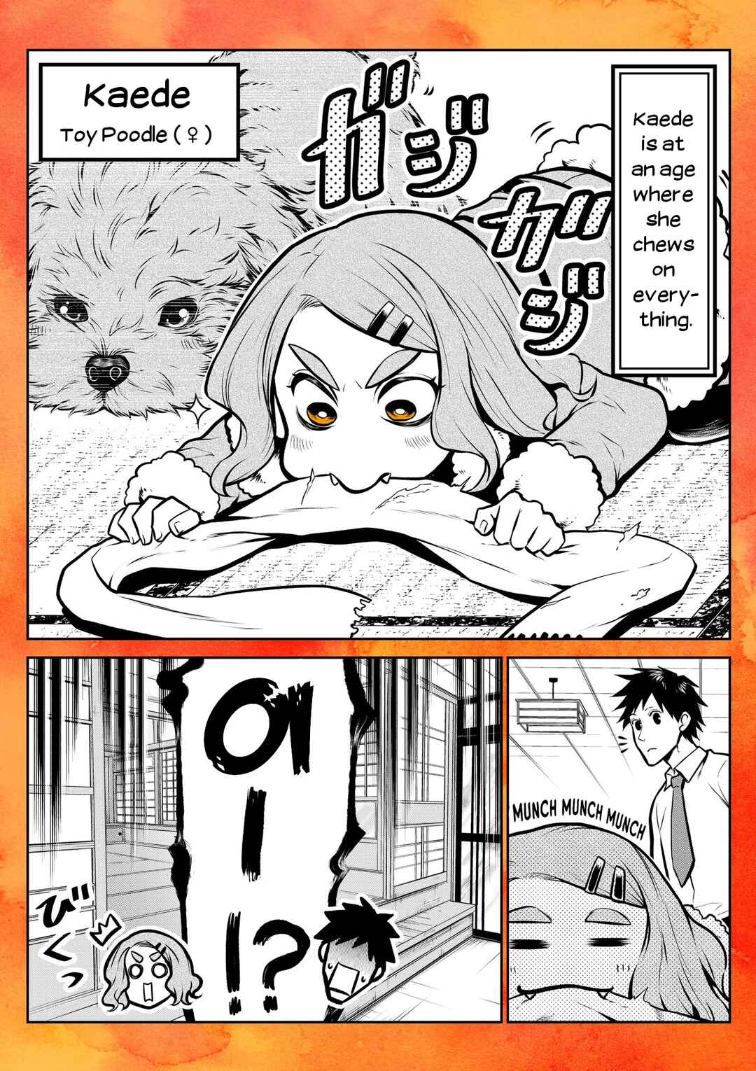 Chapter 14.6 - Page 1