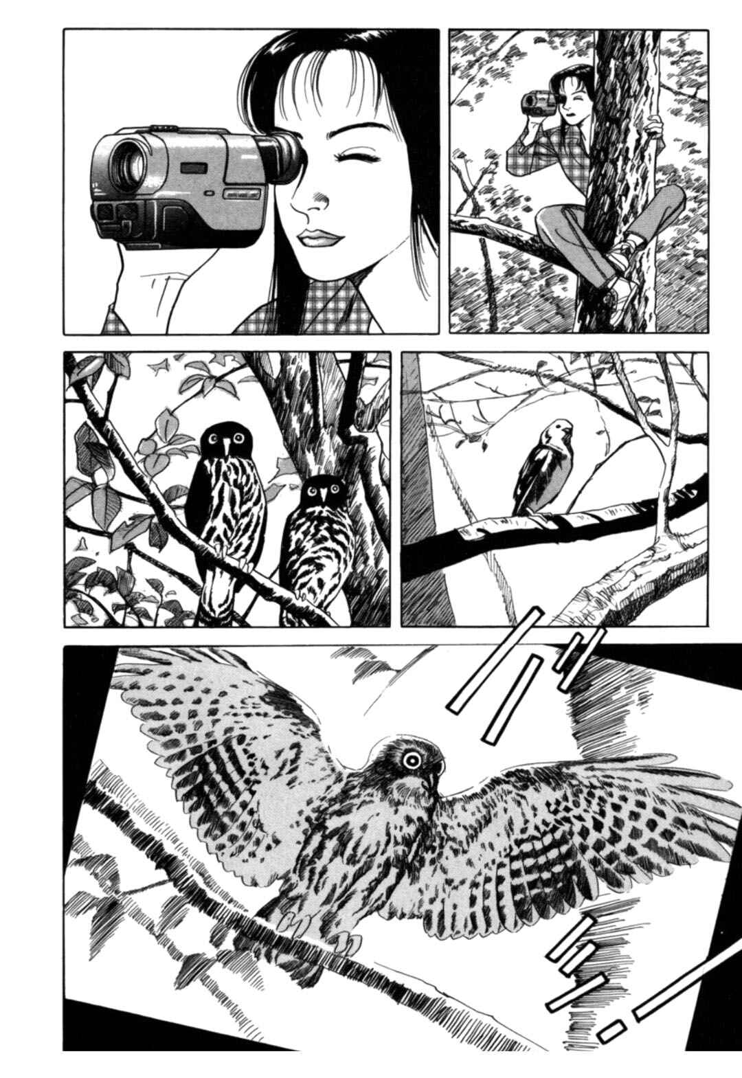 Chapter 6 - Page 12