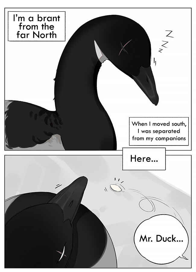Chapter 2 - Page 1