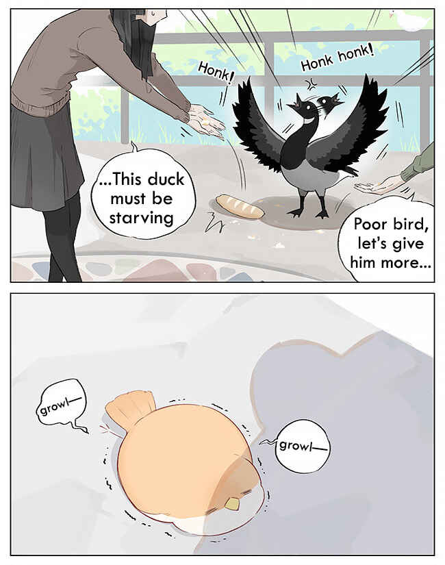 Chapter 2 - Page 5
